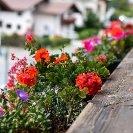 Apartman In Near Slopes Saalbach Hinterglemm